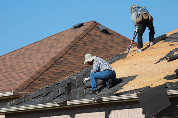 Best Roof Moss and Algae Removal  in Red Hill, PA